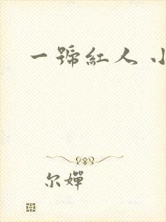 一号红人 小说