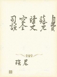 司空靖苏月汐小说全文免费阅读