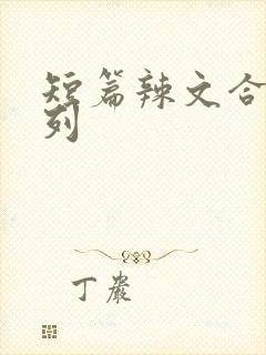 短篇辣文合集系列