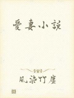 爱妻小说