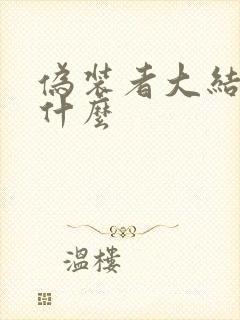 伪装者大结局是什么封面