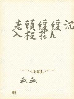 老头缓缓沉腰进入校花h