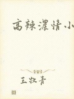 高辣浓情小说