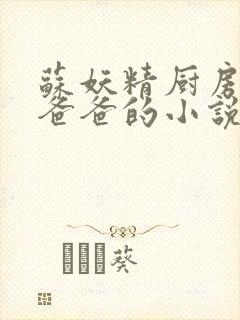 苏妖精厨房爹爹爸爸的小说