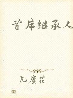 首席继承人封面