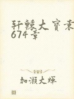 轩辕大宝袁雪妃674章封面