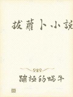 拔萝卜小说封面