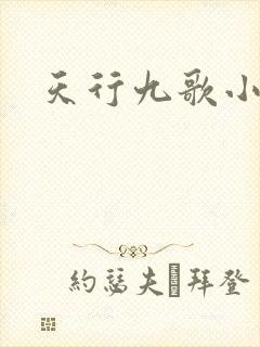 天行九歌小说