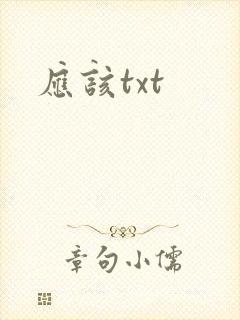 应该txt