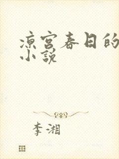 凉宫春日的忧郁小说