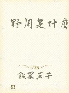 野周是什么意思