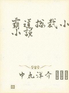 霸道总裁小娇妻小说