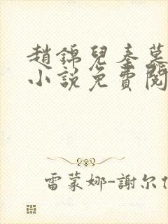 赵锦儿秦慕修的小说免费阅读全文