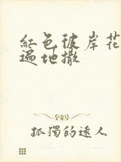 红色彼岸花花瓣遍地撒