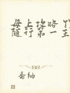 母上攻略 竹影随行第一主板