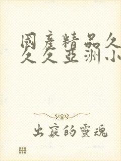 国产精品久久久久久亚洲小说