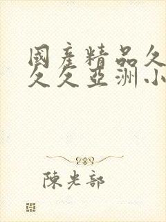 国产精品久久久久久亚洲小说