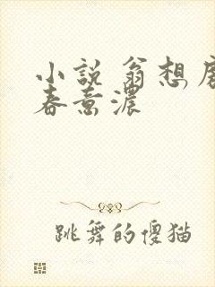 小说 翁想房中春意浓