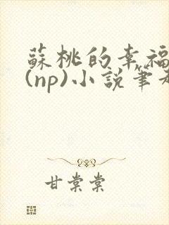 苏桃的幸福生活(np)小说笔趣阁沐沐