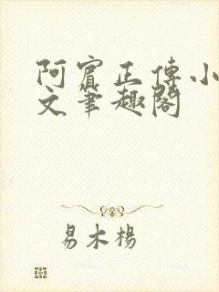 阿宾正传小说全文笔趣阁