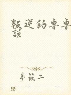 叛逆的鲁鲁修小说封面