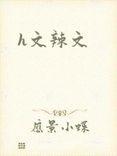 h文辣文