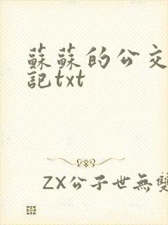 苏苏的公交车日记txt