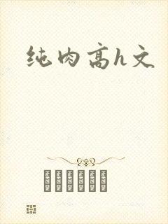纯肉高h文