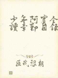 少年阿宾全文阅读章节目录