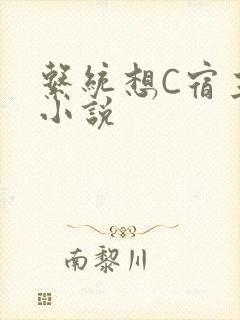 系统想C宿主的小说