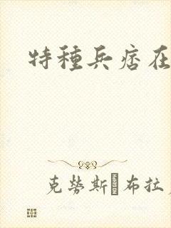 特种兵痞在都市