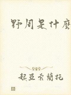 野周是什么意思