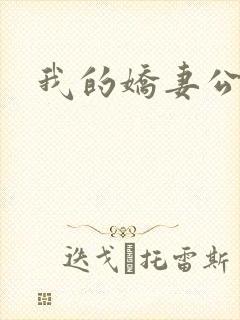 我的娇妻公务员