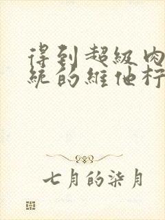 得到超级肉禽系统的维他柠檬茶