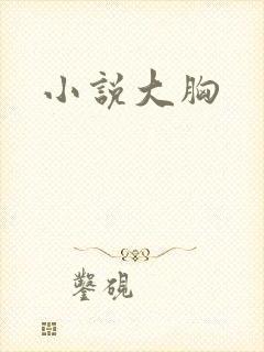 小说大胸