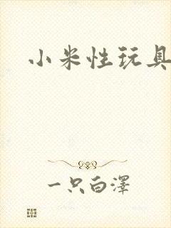 小米性玩具日记