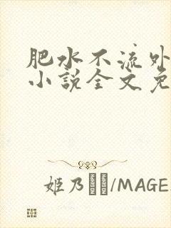 肥水不流外人田小说全文免费阅读全本免