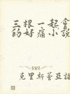 三根一起会坏掉的好痛小说