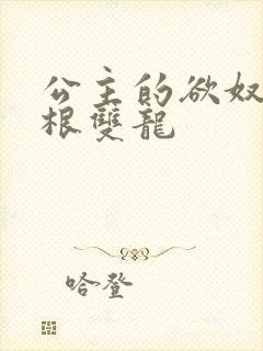 公主的欲奴h四根双龙