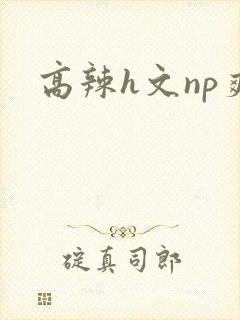 高辣h文np爽