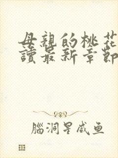 母亲的桃花源阅读最新章节小说