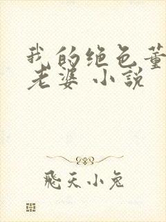 我的绝色董事长老婆 小说