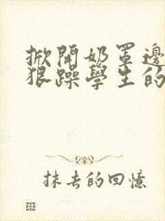 掀开奶罩边躁狠狠躁学生的小文字