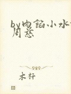 by肉馅小水饺周慈
