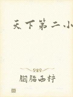 天下第二小说