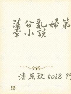 荡公乱妇第51章小说