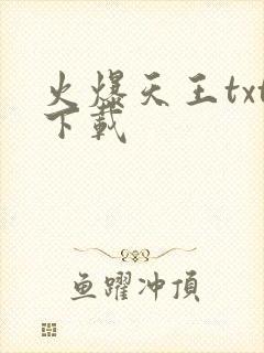 火爆天王txt下载