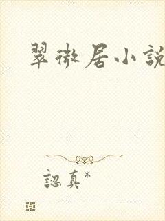 翠微居小说