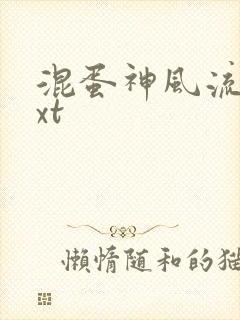 混蛋神风流史txt