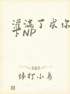 灌满了求你们停下NP